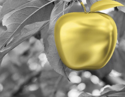la manzana de oro
